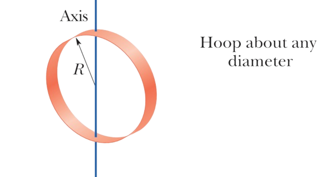 Ring Perpendicular|100